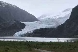 The Travel Connection