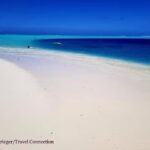 The Travel Connection