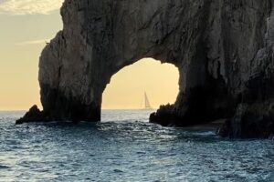 The Travel Connection LLC