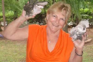 The Travel Connection of SC