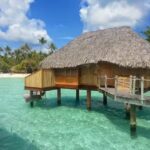 The Travel & Cultures Company