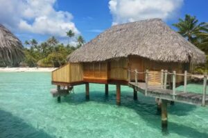 The Travel & Cultures Company