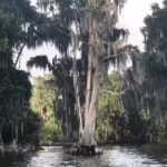 The Travel Shop by Dream Vacations