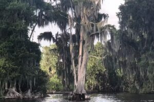 The Travel Shop by Dream Vacations