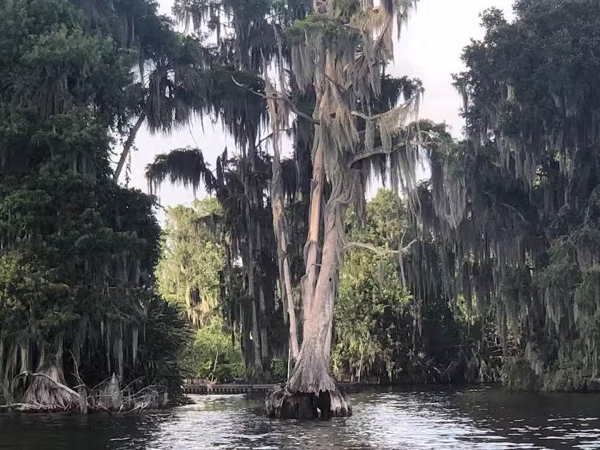 The Travel Shop by Dream Vacations