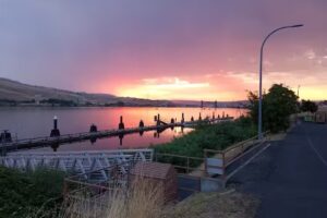 The Traveling Buddies dba Cruise Planners