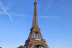 The Wandering Gosling