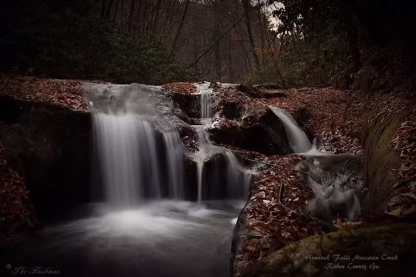 The Wayward Traveler