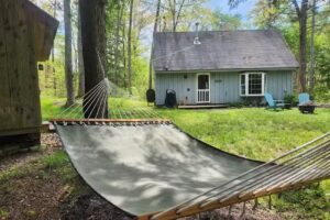 The WildeWoods Cabin