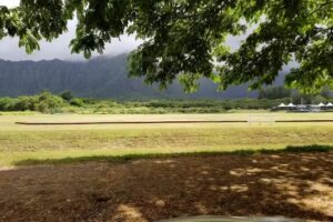 Therapeutic Horsemanship of Hawaii