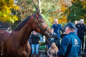 Thoroughbred Heritage Horse Farm Tours