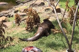 Three Forks Nature Center