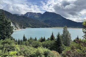 Three Moose Kayaking and Cabins