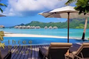 Three Palms In Paradise Inc