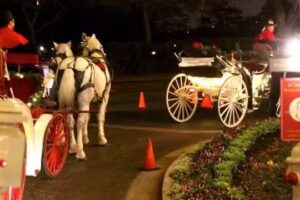 Threejay’s Carriages