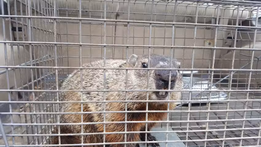 Thurmont Main Street Arts & Gifts