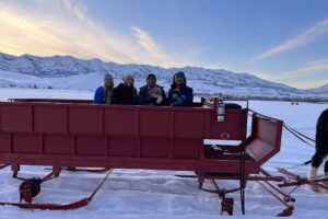 Thurston Clydesdale Farm