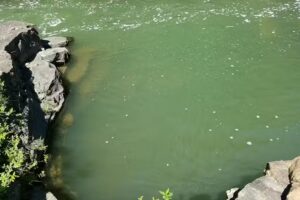 Ticonderoga Area Chamber of Commerce