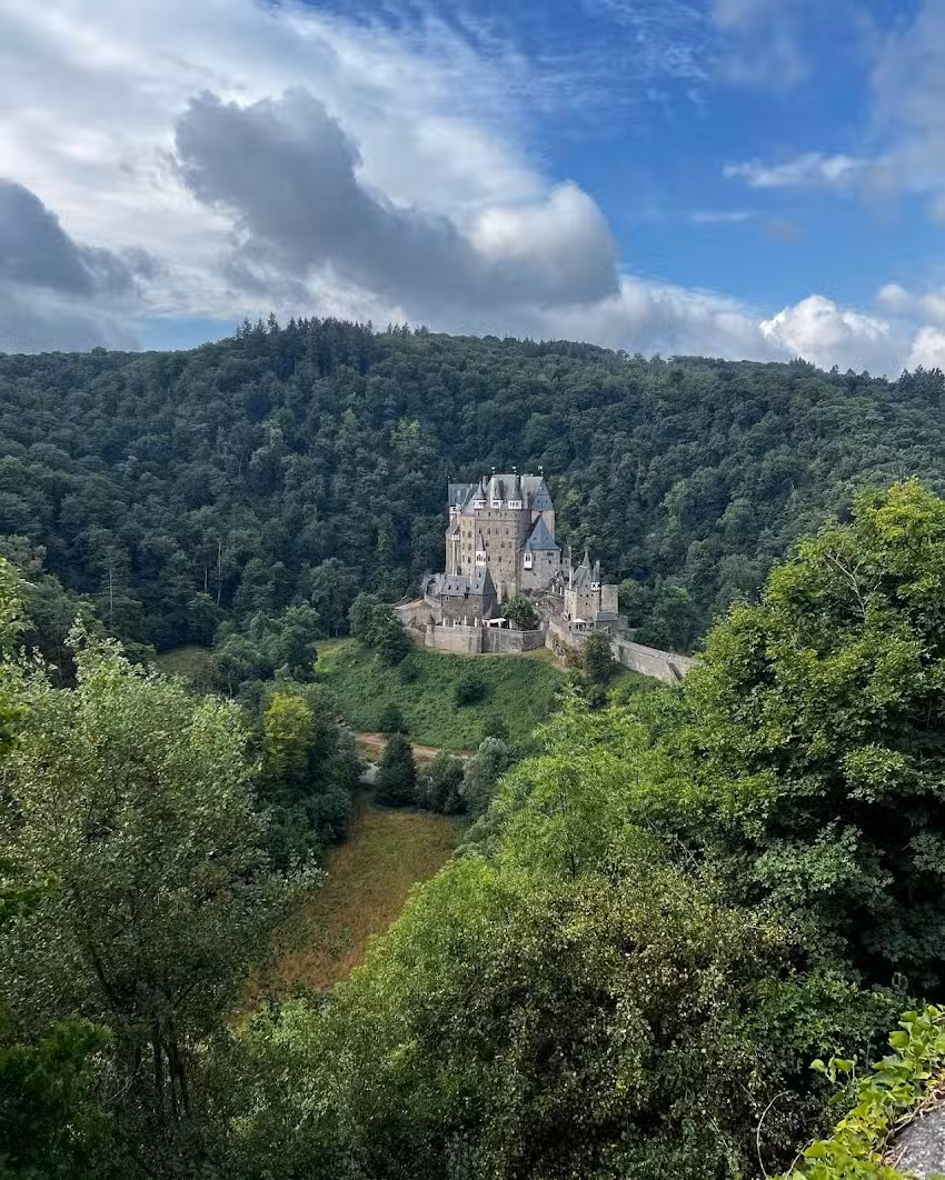 Tidewater Cruise and Travel LLC