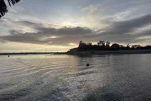 Tiki Boat Long Island