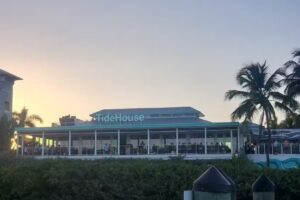 Tiki Taxi and Cruises