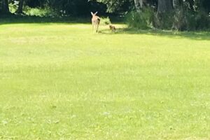 Tilley Enterprises Inc