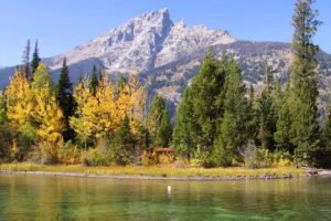 Tink’s Trips & Treasures