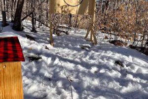 Tiny Cabins of Maine