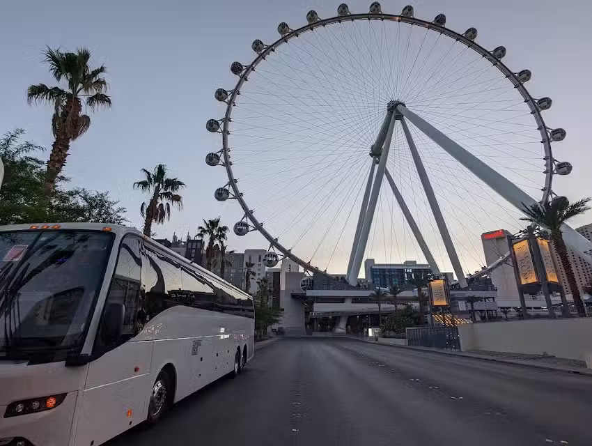 TLC Luxury Transportation Las Vegas