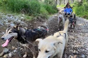 Toastable Travel & Events