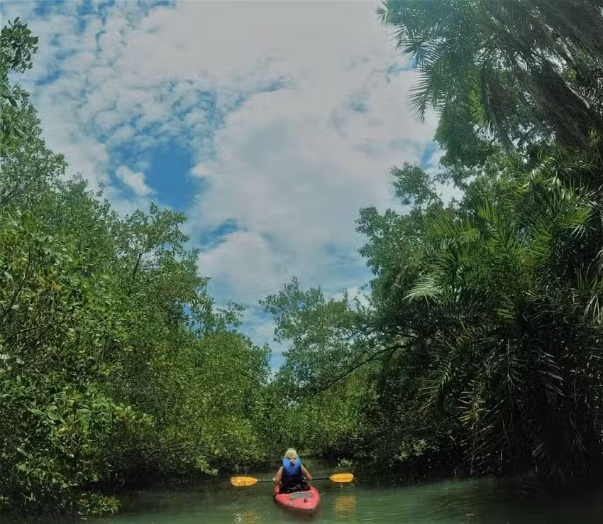 Tocobaga Tours Kayak and Paddleboard Rentals