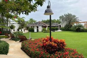 Top Notch Travel Now