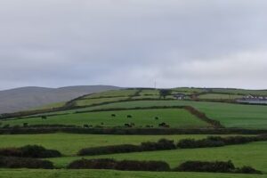 Top Notch Travel Service