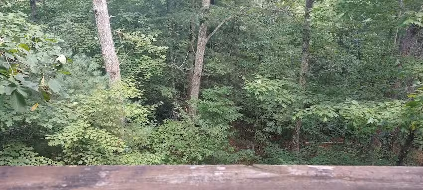 Top of the world cabin