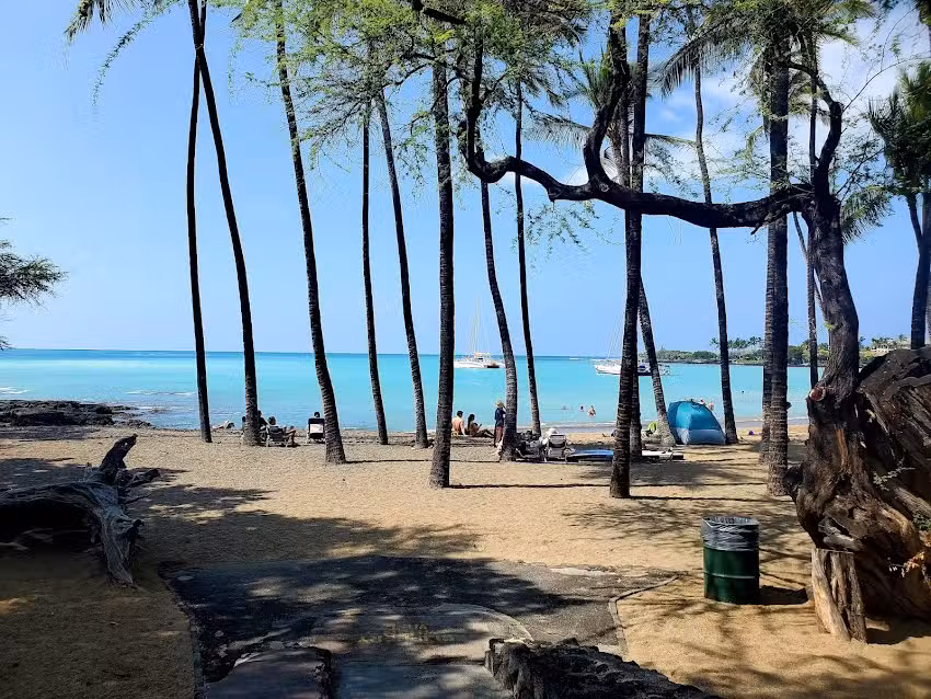 Top Quality Travel LLC