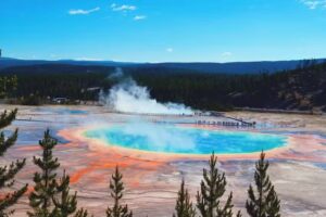 TOP STAR INTERNATIONAL TRAVEL INC. 顶鑫国际旅行社