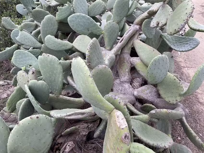 Torrey Pines Reserve Lodge and Visitor Center