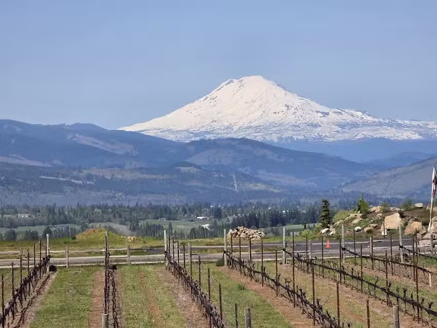 Total Access Travel Co