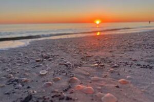 Toucan Escape Beach House, Mexico Beach FL