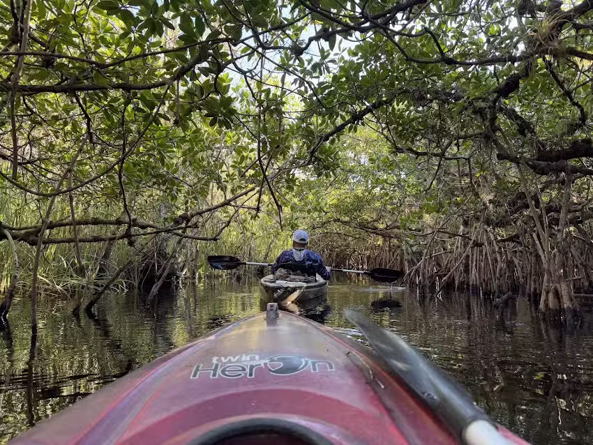 Tour The Glades – Private Wildlife Tours