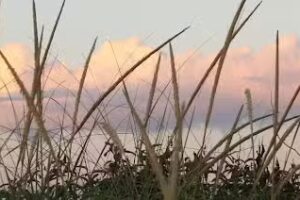 Town & Country Real Estate – Bridgehampton