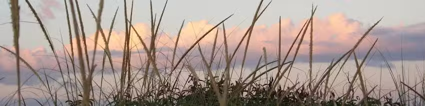 Town & Country Real Estate – Bridgehampton