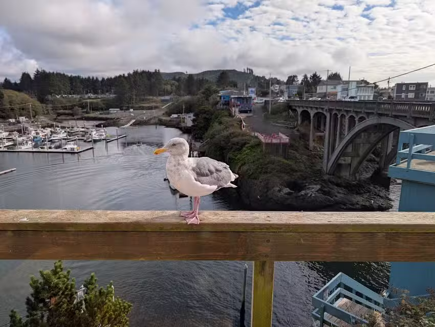 Tradewinds Charters &ndash; Best Whale Watching & Fishing Charters &ndash; Oregon