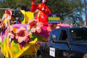 Tradewinds International Travel