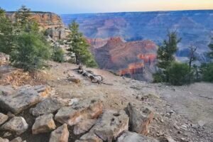 Trafalgar Travel USA