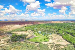Trail Horse Adventure
