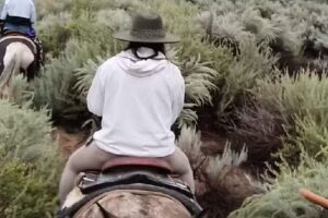 Trail Rides at Running Horse Ranch