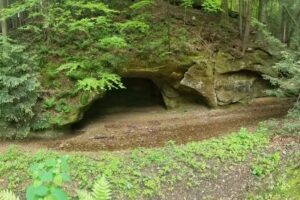 Tranquil Retreat Cabins