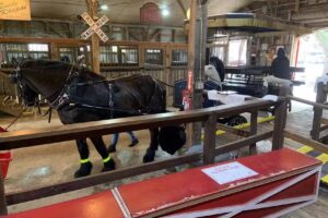 Tranquil Sol Travels LLC