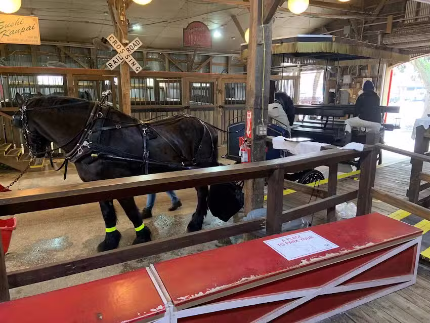 Tranquil Sol Travels LLC